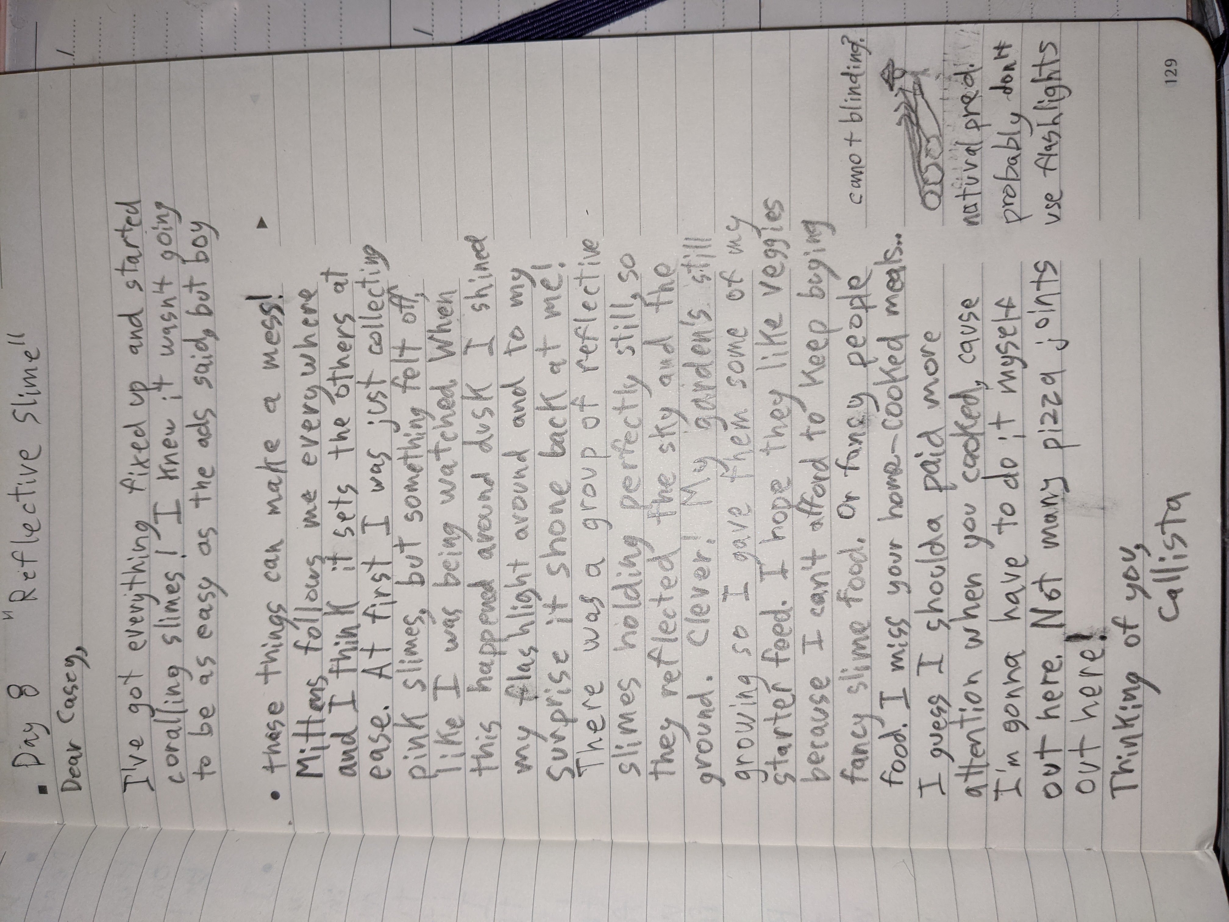 Example of a letter written in a notebook describing finding a "Reflective Slime" on Day 8